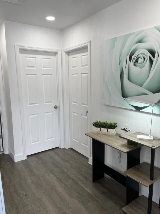 Incredible Comfortable Apartments Near The Airport And Beaches Tampa Buitenkant foto