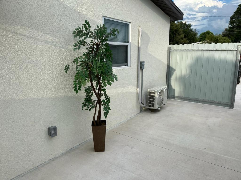 Incredible Comfortable Apartments Near The Airport And Beaches Tampa Buitenkant foto