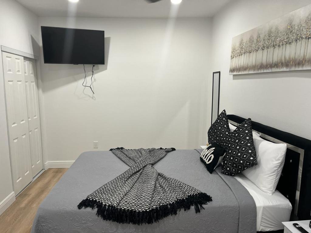 Incredible Comfortable Apartments Near The Airport And Beaches Tampa Buitenkant foto